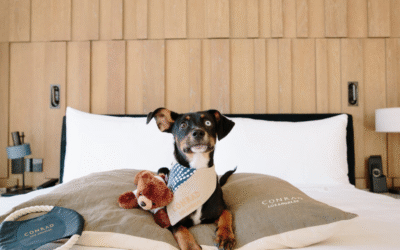 Best Dog Friendly Hotels in Canada