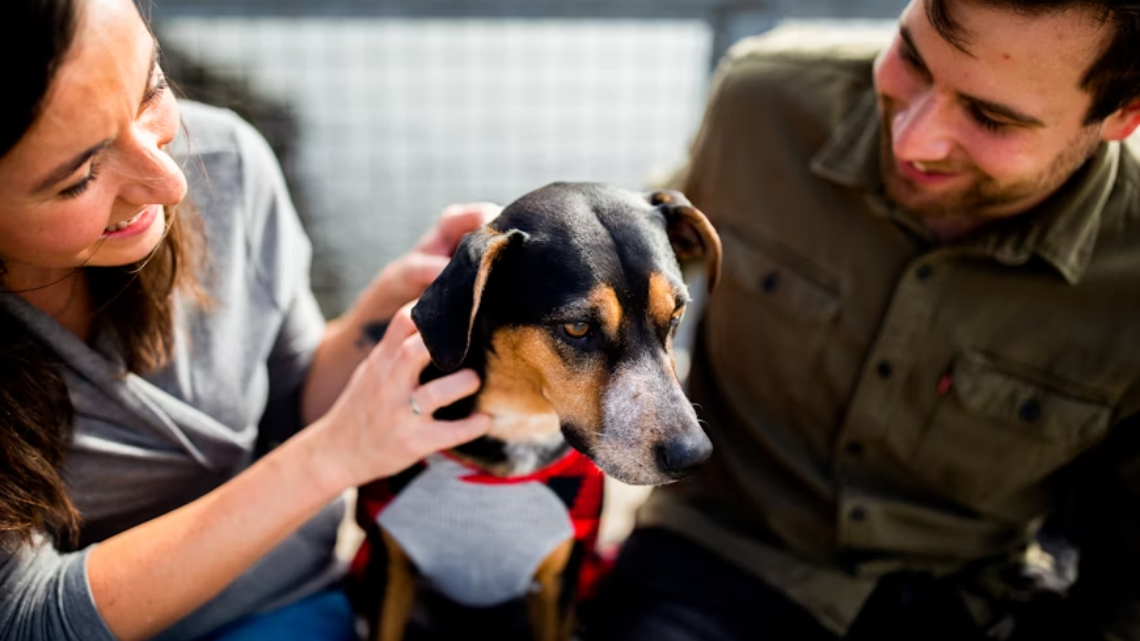 a couple with dog