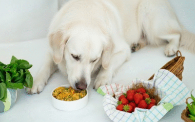 Best Healthy Fruits and Veggies Dogs Can Eat