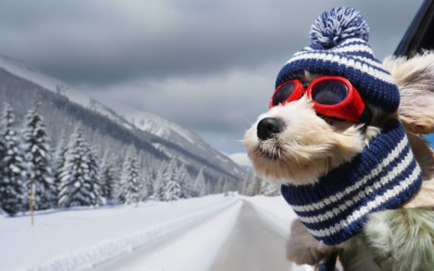 ULTIMATE Dog Winter Holidays Checklist