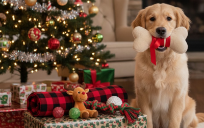 20 BEST Dog Christmas Ideas