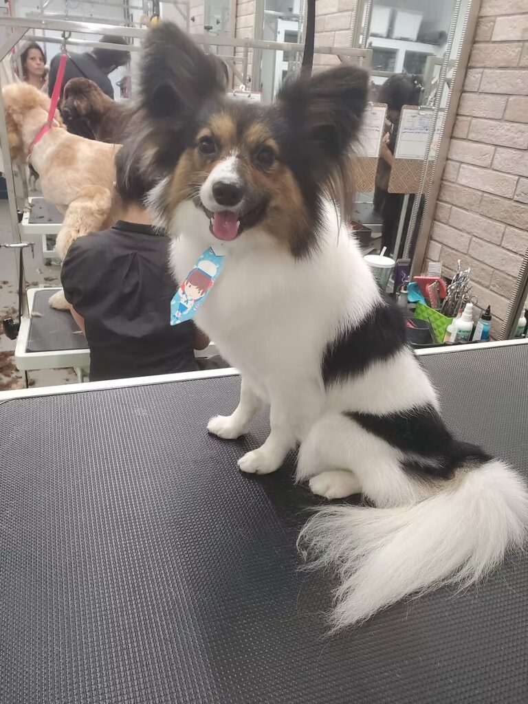 oh my dog 768x1024