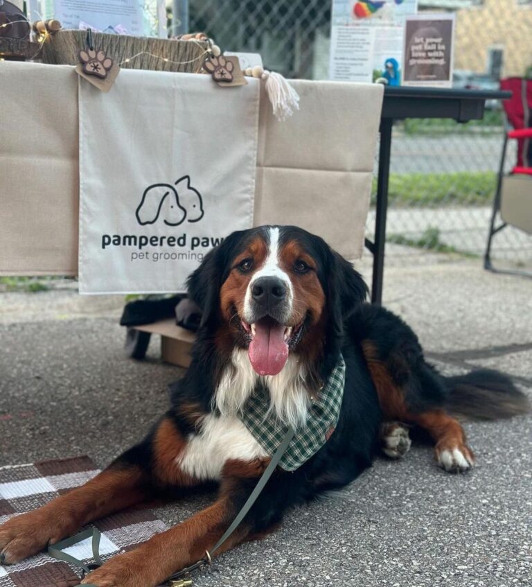 pampered pets guelph 768x847