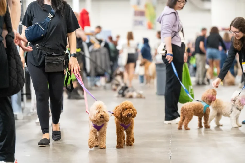 pet expo 1024x683
