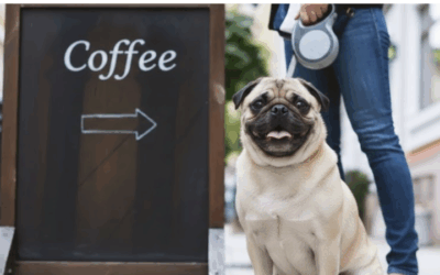 15 Dog-Friendly Cafes in Ottawa
