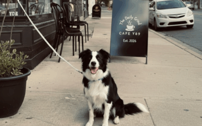 15 Dog-Friendly Cafes in Montreal