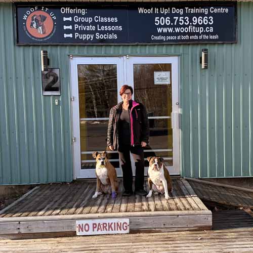 woof it up dog training facility centre fredericton new brunswick m
