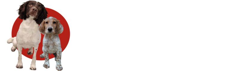 slider 1 1 768x240